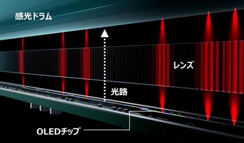 D2エクスポージャー